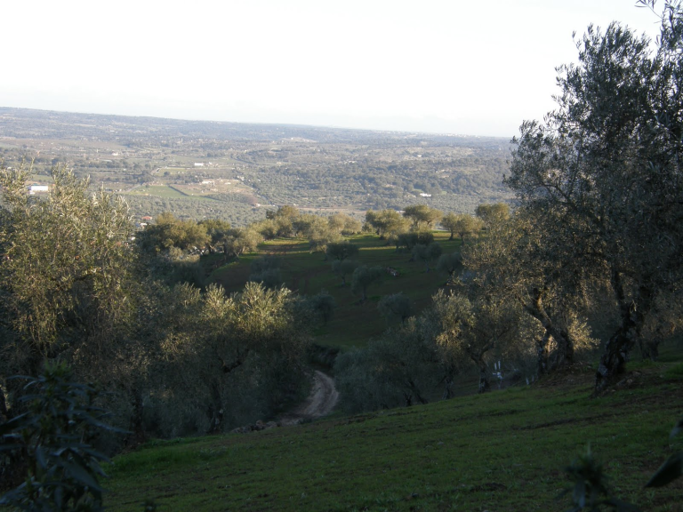 VIAJAR